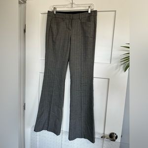 Express dress pants boot cut.